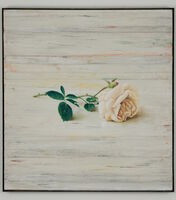 Michael Lauterjung, "Weiße Rose" ,Mischtechnik auf Holz, 92 x 86 cm, 2026