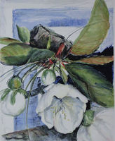Kirschblüte, Farblithografie, 42 x 34 cm