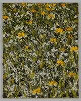 Helmut Helmes, "Feldblumen" Öl auf Leinwand, 100 x 80 cm, 2026