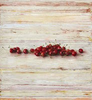 Andreas Lauterjung, Line of cherries, Mischtechnik auf Holz, 130 x 120 cm, 2020